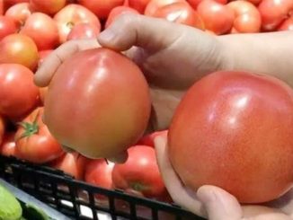 Hướng dẫn cách chọn cà chua ngon, sạch và an toàn