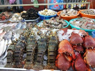 Những loại hải sản cực kì nổi tiếng ở Quảng Ninh nhất định bạn phải nếm thử