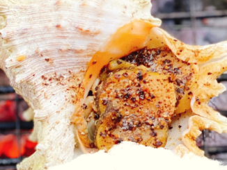Hướng dẫn cách làm ốc gai nướng muối ớt Phú Quốc đơn giản tại nhà